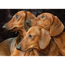 Load image into Gallery viewer, DIY 5D Diamond Painting Dog Animal Diamond Embroidery Cross Stitch Kit Dachshund Mosaic Full Round Drill Rhinestone Home Decor - SallyHomey Life's Beautiful