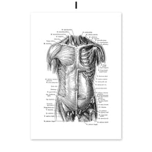 Load image into Gallery viewer, Black And White Brain Heart Skull kidney Anatomy Wall Art Canvas Painting Nordic Posters And Prints Wall Pictures Office Decor - SallyHomey Life's Beautiful
