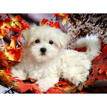 Load image into Gallery viewer, DIY 5D Diamond Painting Dog Animal Diamond Embroidery Cross Stitch Rhinestone Picture Mosaic Full Round Drill Manual Hobby Gift