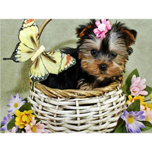 Load image into Gallery viewer, DIY 5D Diamond Painting Dog Animal Diamond Embroidery Rhinestone Picture Full Round Drill Mosaic Art Wall Sticker Decor