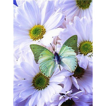 Load image into Gallery viewer, DIY 5D Diamond Painting Butterfly Animal Mosaic Full Round Rhinestone Diamond Embroidery Flowers Cross Stitch Kits Home Decor - SallyHomey Life's Beautiful