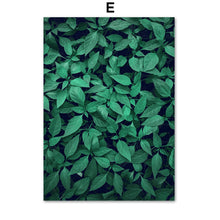 Load image into Gallery viewer, Fresh Cactus Mountain Leaf Terraced Field Wall Art Canvas Painting Nordic Posters And Prints Wall Pictures For Living Room Decor - SallyHomey Life's Beautiful