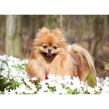 Load image into Gallery viewer, DIY 5D Diamond Painting Dog Animal Diamond Embroidery Cross Stitch Rhinestone Picture Mosaic Full Round Drill Manual Hobby Gift