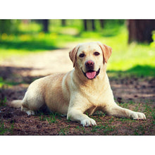 Load image into Gallery viewer, 5D Diamond Painting Dog Cute Pet Cross Stitch Animal Diamond Embroidery Mosaic Full Round Drill Rhinestone Decor Home - SallyHomey Life's Beautiful