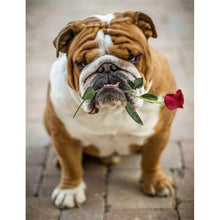 Load image into Gallery viewer, DIY 5D Diamond Painting Dog Animal Mosaic Picture Rhinestone Full Round Diamond Embroidery Cross Stitch Art Christmas Gifts Dogs - SallyHomey Life's Beautiful