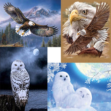 Load image into Gallery viewer, DIY Eagle 5D Diamond Painting Owl Diamond Embroidery Animal Cross Stitch Kits Full Round Drill Mosaic Art Wall Home Decor - SallyHomey Life's Beautiful