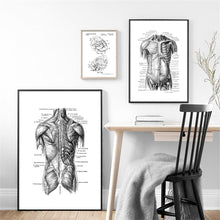 Load image into Gallery viewer, Black And White Brain Heart Skull kidney Anatomy Wall Art Canvas Painting Nordic Posters And Prints Wall Pictures Office Decor - SallyHomey Life's Beautiful