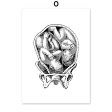 Load image into Gallery viewer, Black And White Brain Heart Skull kidney Anatomy Wall Art Canvas Painting Nordic Posters And Prints Wall Pictures Office Decor - SallyHomey Life's Beautiful
