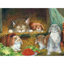 Load image into Gallery viewer, DIY 5D Diamond Painting Farm Animal Full Round Diamond Embroidery Cat Pig Horse Cross Stitch Rhinestone Kits Mosaic Home Decor - SallyHomey Life's Beautiful