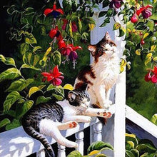 Load image into Gallery viewer, DIY 5D Diamond Painting Cat Mosaic Animal Cross Stitch Kit Full Round Drill Diamond Embroidery Rhinestone Art Wall Sticker Decor