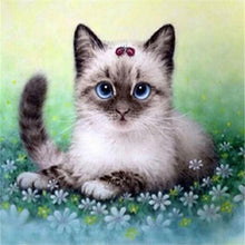 Load image into Gallery viewer, DIY 5D Diamond Painting Cat Mosaic Animal Cross Stitch Kit Full Round Drill Diamond Embroidery Rhinestone Art Wall Sticker Decor