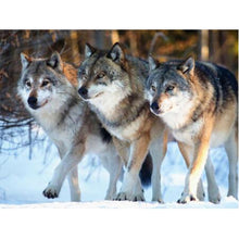 Load image into Gallery viewer, DIY 5D Diamond Painting Cross Stitch Wolf Animal Diamond Embroidery Full Drill Round Mosaic Kit Rhinestones Winter Scenery Art - SallyHomey Life's Beautiful