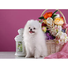 Load image into Gallery viewer, DIY 5D Diamond Painting Dog Cross Stitch Diamond Embroidery Sale Full Round Drill Animal Mosaic Rhinestones Art Wall Hobby Decor - SallyHomey Life's Beautiful