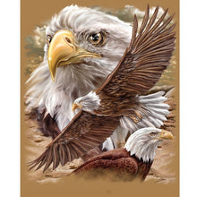 Load image into Gallery viewer, 5D DIY Diamond Painting Cross Stitch Full Round Drill Animal Chicken Family Diamond Embroidery Rhinestones manual art Decor Gift - SallyHomey Life's Beautiful