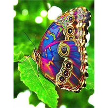Load image into Gallery viewer, DIY 5D Diamond Painting Butterfly Animal Mosaic Full Round Rhinestone Diamond Embroidery Flowers Cross Stitch Kits Home Decor - SallyHomey Life's Beautiful