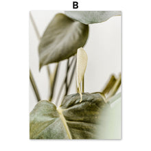 Load image into Gallery viewer, Fresh Nature Monstera Banana Leaf Wall Art Canvas Painting Nordic Posters And Prints Plant Wall Pictures For Living Room Decor - SallyHomey Life's Beautiful