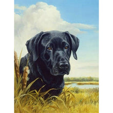 Load image into Gallery viewer, 5D Diamond Painting Dog Animal Mosaic Picture Rhinestone Full Round Diamond Embroidery Cross Stitch Art Christmas Gifts Dogs - SallyHomey Life's Beautiful