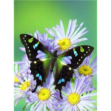 Load image into Gallery viewer, DIY 5D Diamond Painting Butterfly Animal Mosaic Full Round Rhinestone Diamond Embroidery Flowers Cross Stitch Kits Home Decor - SallyHomey Life's Beautiful