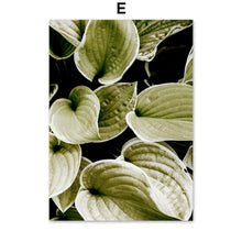 Load image into Gallery viewer, Fresh Nature Monstera Banana Leaf Wall Art Canvas Painting Nordic Posters And Prints Plant Wall Pictures For Living Room Decor - SallyHomey Life's Beautiful