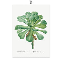 Load image into Gallery viewer, Cactus Sempervivum Flower Plant Wall Art Canvas Painting Nordic Posters And Prints Plants Wall Pictures For Living Room Decor - SallyHomey Life's Beautiful