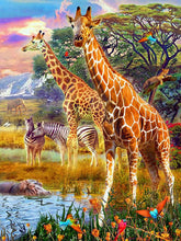Load image into Gallery viewer, 5D Diamond Painting Cross Stitch DIY Giraffe Full Round Drill Daimond Embroidery Rhinestone Kits Mosaic Animal Wall Art - SallyHomey Life's Beautiful