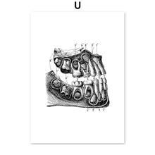 Load image into Gallery viewer, Skeleton Muscle Fingers Eye Black And White Anatomy Wall Art Canvas Painting Nordic Posters And Prints Wall Pictures Decor - SallyHomey Life's Beautiful