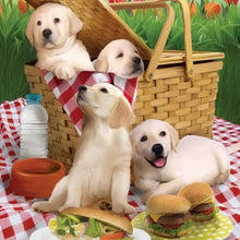 Load image into Gallery viewer, DIY 5D Diamond Painting Dog Labrador Animal Diamond Embroidery Cross Stitch Kit Full Round Mosaic Pictures Rhinestone Home Decor