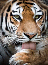 Load image into Gallery viewer, DIY Tiger 5D Diamond Painting Tiger Diamond Embroidery Animal Tiger Cross Stitch Full Round Drill Wall Art Home Decor Gift