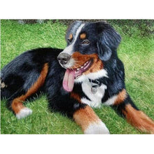 Load image into Gallery viewer, DIY 5D Diamond Painting Bernese Mountain Dog Diamond Embroidered Cross Stitch Kit Animal Mosaic Full Round Rhinestone Decor Home - SallyHomey Life's Beautiful