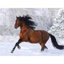 Load image into Gallery viewer, DIY 5D Diamond Painting Horse Animal Full Round Drill Cross Stitch Diamond Embroidery Mosaic Picture Rhinestones Home Decor - SallyHomey Life's Beautiful
