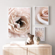 Load image into Gallery viewer, Pink Dahlia Close Up Poster Blooming Rose Nordic Posters And Prints Wall Art Canvas PaintingWall Pictures For Living Room Decor - SallyHomey Life's Beautiful