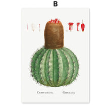 Load image into Gallery viewer, Cactus Sempervivum Flower Plant Wall Art Canvas Painting Nordic Posters And Prints Plants Wall Pictures For Living Room Decor - SallyHomey Life's Beautiful