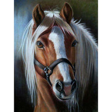 Load image into Gallery viewer, DIY 5D Full Diamond Painting Horse Cross Stitch Animal Diamond Embroidery Full Round Drill Home Decor Gift - SallyHomey Life's Beautiful