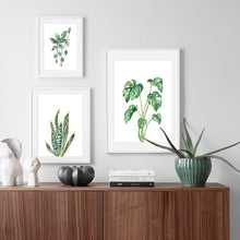Load image into Gallery viewer, Monstera Cactus Leaves Tropical Plants Wall Art Canvas Painting Nordic Posters And Prints Wall Pictures For Living Room Decor - SallyHomey Life's Beautiful