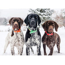 Load image into Gallery viewer, 5D DIY Diamond Painting Dog Diamond Embroidery Animal Mosaic Full Round Drill Cross Stitch Kits Rhinestone Picture Handmade Gift