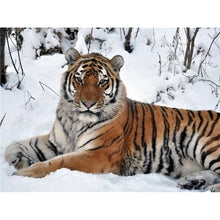 Load image into Gallery viewer, 5D Diamond Painting Tiger Full Round Drill Mosaic Diamond Embroidery Cross Stitch Animal rhinestones DIY Wall Sticker Decor Gift