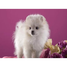 Load image into Gallery viewer, DIY 5D Diamond Painting Dog Animal Diamond Embroidery Cross Stitch Rhinestone Picture Mosaic Full Round Drill Manual Hobby Gift