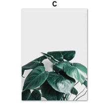 Load image into Gallery viewer, Fresh Cactus Mountain Leaf Terraced Field Wall Art Canvas Painting Nordic Posters And Prints Wall Pictures For Living Room Decor - SallyHomey Life's Beautiful