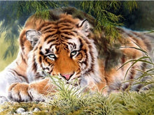 Load image into Gallery viewer, 5D Diamond Painting Tiger Cross Stitch DIY Diamond Embroidery Mosaic Animal Patterns Rhinestone Kits Full Round Drill Home Decor - SallyHomey Life's Beautiful