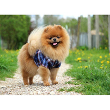 Load image into Gallery viewer, DIY 5D Diamond Painting Dog Animal Diamond Embroidery Cross Stitch Rhinestone Picture Mosaic Full Round Drill Manual Hobby Gift