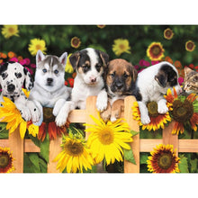 Load image into Gallery viewer, DIY 5D Diamond Painting Farm Animal Cat Diamond Embroidery Mosaic Rhinestone Full Round Drill Cross Stitch Kits Decor Home