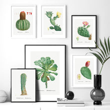 Load image into Gallery viewer, Cactus Sempervivum Flower Plant Wall Art Canvas Painting Nordic Posters And Prints Plants Wall Pictures For Living Room Decor - SallyHomey Life's Beautiful