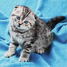 Load image into Gallery viewer, DIY 5D Diamond Painting Cat Mosaic Animal Cross Stitch Kit Full Round Drill Diamond Embroidery Rhinestone Art Wall Sticker Decor