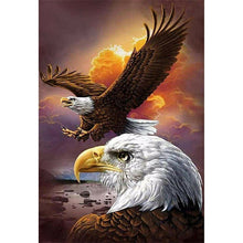Load image into Gallery viewer, Diamond Embroidery Animals 5D Diamond Painting Full Round Drill Eagle Mosaic Bird Picture of Rhinestone Cross Stitch Home Decor