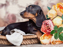 Load image into Gallery viewer, Diy Dog 5D Diamond Painting Cross Stitch Full Round Drill Diamond Embroidery Mosaic Rhinestone Handmade Gift Home Decor