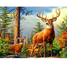 Load image into Gallery viewer, DIY 5D Diamond Painting Deer In Nature Forest Full Round Mosaic Animal Diamond Embroidery Cross Stitch Mosaic Rhinestones Decor - SallyHomey Life's Beautiful