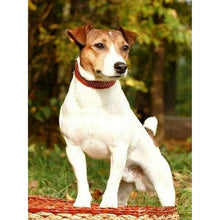Load image into Gallery viewer, DIY 5D Diamond Painting Dog Animal Full Drill Round Diamond Embroidery Cross Stitch Kits Mosaic Rhinestones Art Wall Decor
