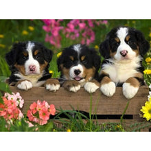 Load image into Gallery viewer, DIY 5D Diamond Painting Bernese Mountain Dog Diamond Embroidered Cross Stitch Kit Animal Mosaic Full Round Rhinestone Decor Home - SallyHomey Life's Beautiful