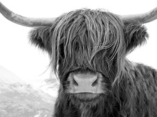 Load image into Gallery viewer, 5D DIY Diamond Painting Highland Cow Full Round Drill Rhinestone Diamond Embroidery Animal Mosaic Cross Stitch Kits Decor Home - SallyHomey Life's Beautiful