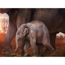 Load image into Gallery viewer, DIY 5D Diamond Painting Elephant Animal Diamond Embroidery Cross Stitch Kits Full Round Drill Mosaic Rhinestones Home Decor Gift